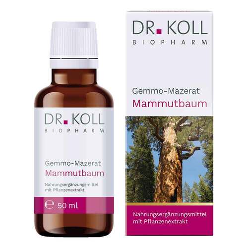 Gemmo-Mazerat Mammutbaum Dr.Koll Sequoia giga.Tro. - 1