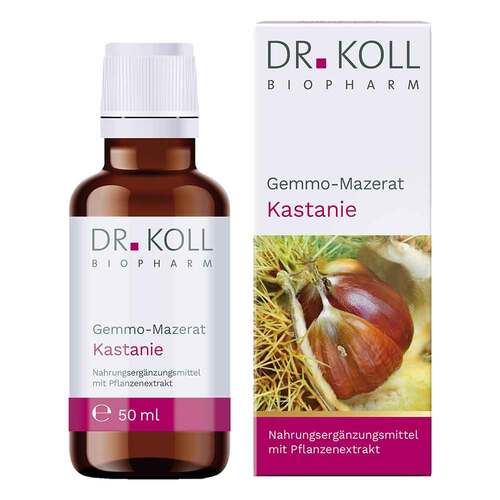 Gemmo-Mazerat Kastanie Dr.Koll Castanea vesca Tro. - 1
