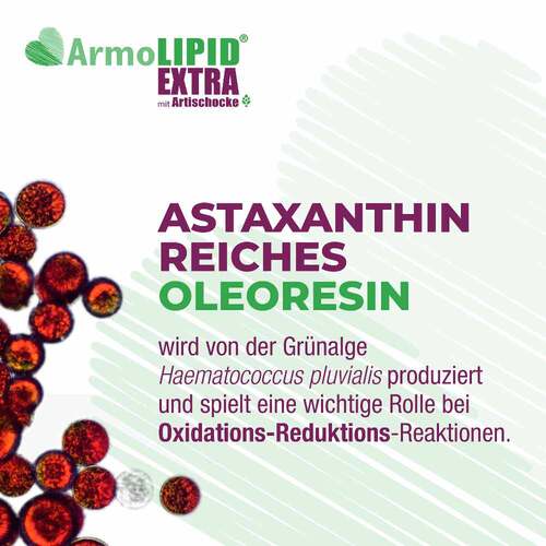 Armolipid Extra Tabletten mit Artischoke - 7