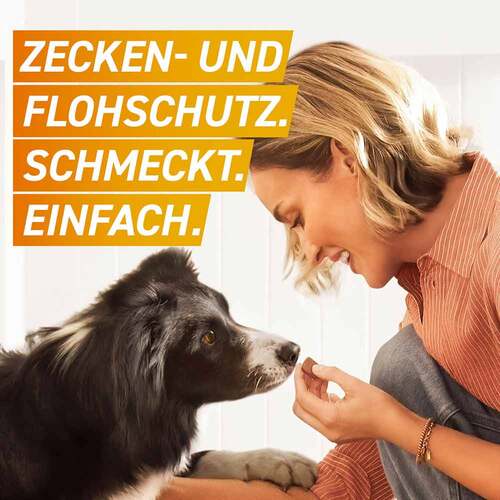 Frontpro 11 mg Kautabletten f&uuml;r Hunde 2-4 kg - 2