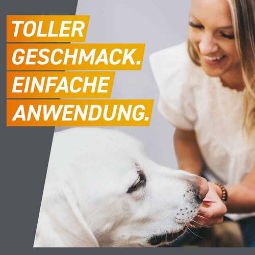 Frontpro 11 mg Kautabletten f&uuml;r Hunde 2-4 kg - 4