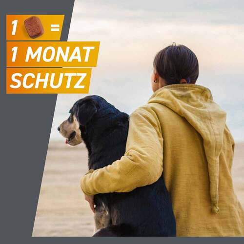 Frontpro 11 mg Kautabletten f&uuml;r Hunde 2-4 kg - 5