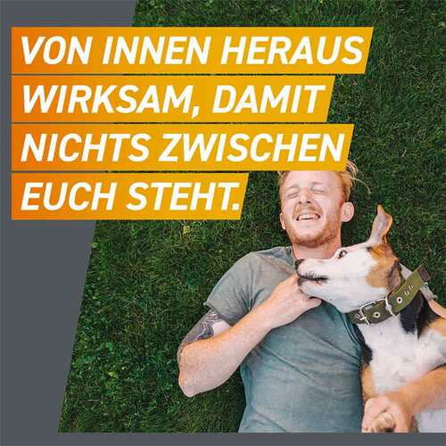 Frontpro 11 mg Kautabletten f&uuml;r Hunde 2-4 kg - 6
