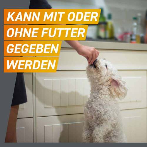 Frontpro 11 mg Kautabletten f&uuml;r Hunde 2-4 kg - 7