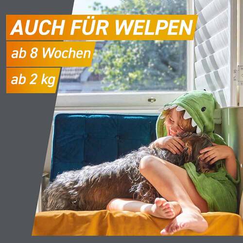 Frontpro 11 mg Kautabletten f&uuml;r Hunde 2-4 kg - 8