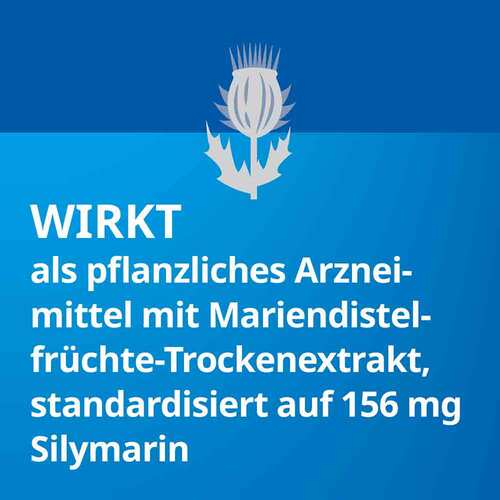 Silymarin Stada 156 mg Hartkapseln - 5