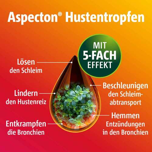 Aspecton Hustentropfen - 3
