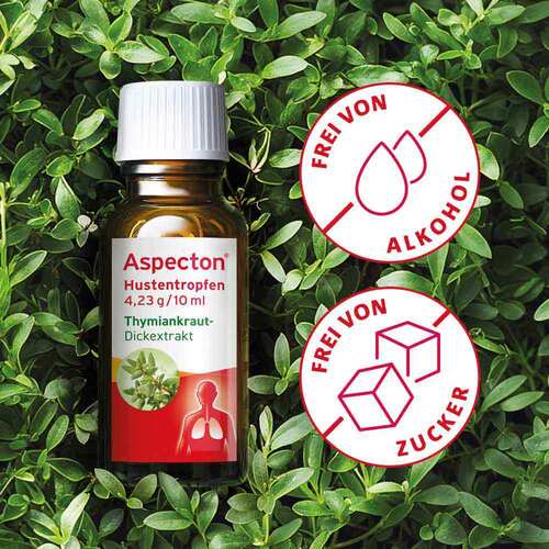Aspecton Hustentropfen - 4