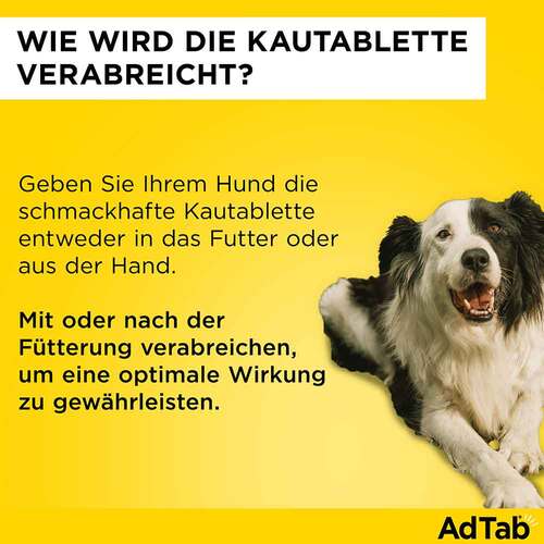 Adtab 56 mg Kautabletten f&uuml;r Hunde 1,3-2,5 kg - 7