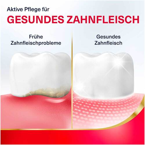 Parodontax Aktive Zahnfleischpflege Repair Sp&uuml;llsg - 2