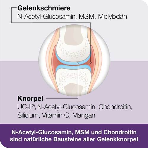 Flexiloges Knorpel aktiv Kapseln - 3