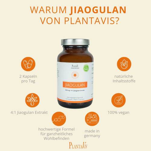 JIAOGULAN EXTRAKT 930 mg Kapseln - 2