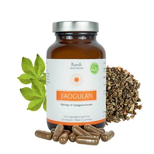JIAOGULAN EXTRAKT 930 mg Kapseln - 3