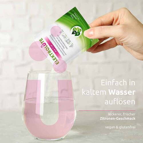 DR.THEISS Elektrol&uuml;te Aktiv Pulver Sachets - 3