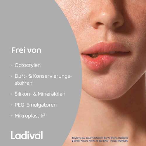 Ladival Aktiv UV-Schutzstift Lippen Lsf 50 +  - 6