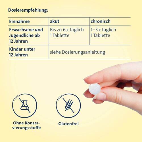 Sinusitis Hevert Tabletten - 4