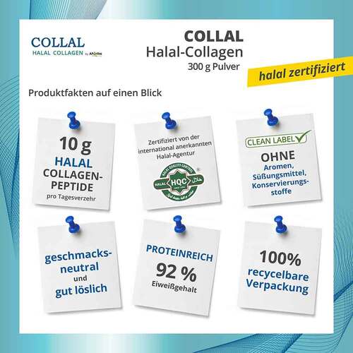 Collal Halal-Collagen move Doypack Pulver - 2