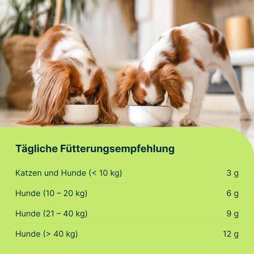 Mobeel Erg.Futterm.Pulver f&uuml;r Hunde / Katzen - 6