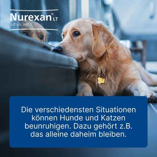 Nurexan LT ad us.vet.Tabletten - 2