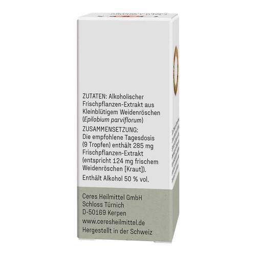 Ceres Weidenr&ouml;schen Epilobium parviflorum Extr.Tro - 2