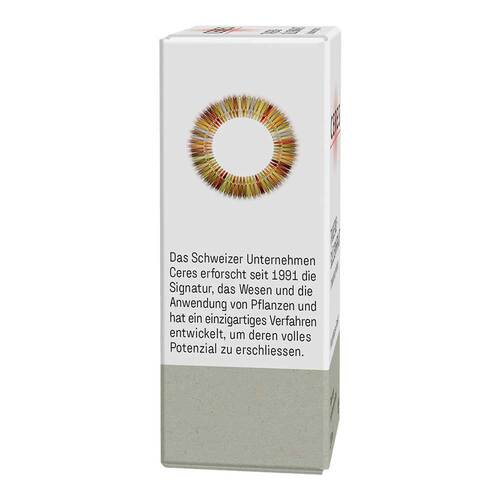 Ceres Weidenr&ouml;schen Epilobium parviflorum Extr.Tro - 4