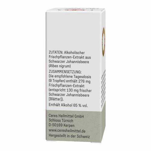 Ceres Schwarze Johannisbeere Ribes nigrum Extr.Tro - 2