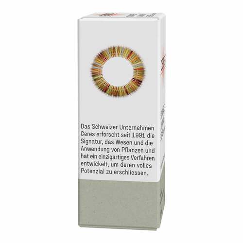 Ceres Schwarze Johannisbeere Ribes nigrum Extr.Tro - 4