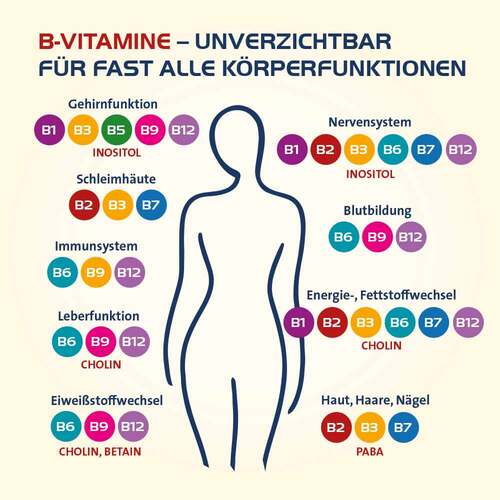 Vitamin B Complete Hevert all-in-one Kapseln - 3