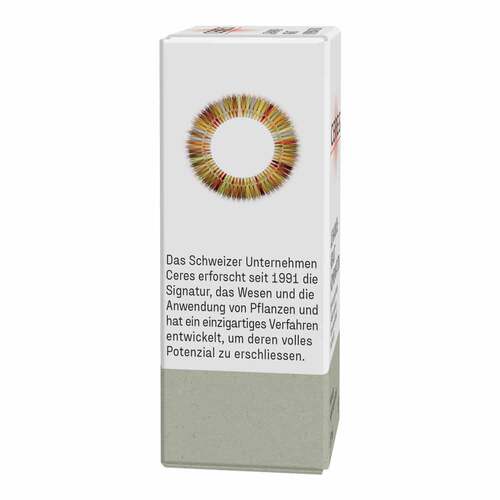 Ceres Johanniskraut Hypericum Kombination Tropfen - 4