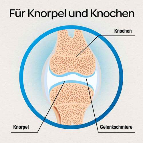 DR.B&Ouml;HM Knorpel &amp; Knochen Tabletten - 3