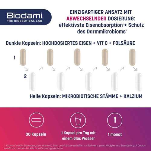 Biodami Ferro Fatigue Redux Eisen hochdos. + Vitamin C  - 4