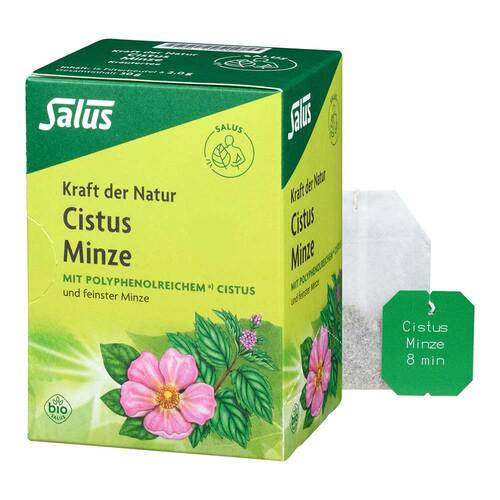 Cistus Minze Kr&auml;utertee bio Salus Filterbeutel - 1