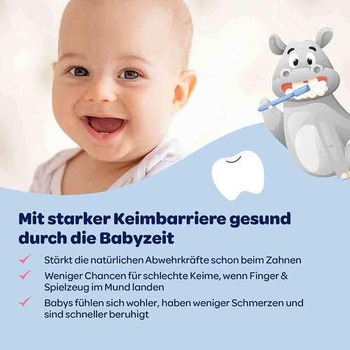 Dentinox Zahncreme Mundflora Baby - 6