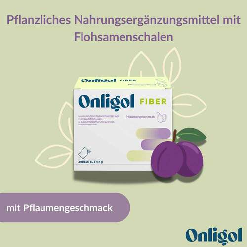 Onligol Fiber Pulver - 2