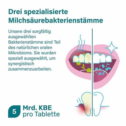 Nupure probadent forte 3 Bakt.Kult.5 Mrd.KBE Lut. - 3