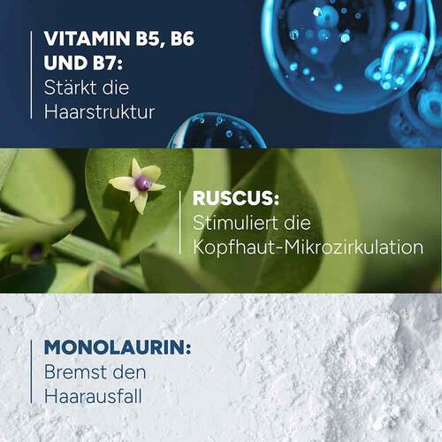 Ducray Anaphase Shampoo b.chronischem Haarausfall - 6