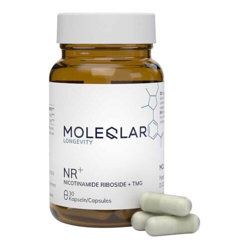 Moleqlar Longevity NR + Nicotinamid Kapseln - 1