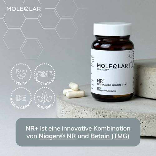 Moleqlar Longevity NR + Nicotinamid Kapseln - 2