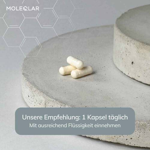 Moleqlar Longevity NR + Nicotinamid Kapseln - 3