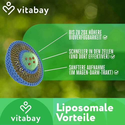 Liposomales Nad + 1000mg+trans-Reveratrol 600mg Wka - 4