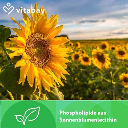 Liposomales Magnesium L-Threonat 2000 mg Weichkapseln  - 5