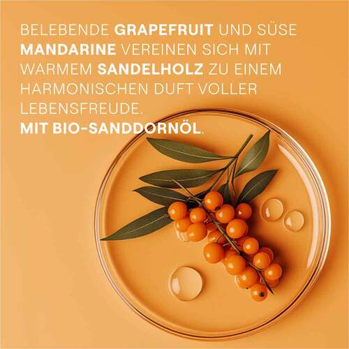 Weleda Geschenkset Sanddorn 2025 - 7