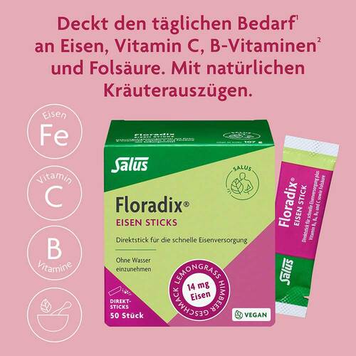 Floradix Eisen Sticks Pulver Salus - 3