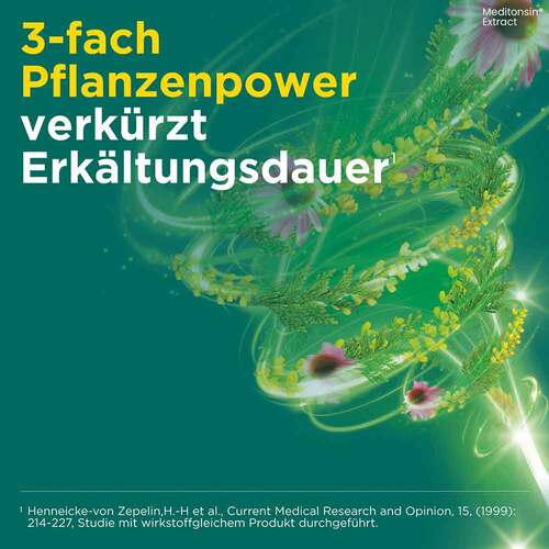 Meditonsin Extract Junior pflanzl.Erk&auml;ltungstabletten  - 6
