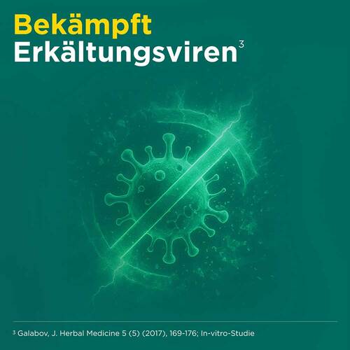 Meditonsin Extract pflanzliche Erk&auml;ltungstabletten - 4