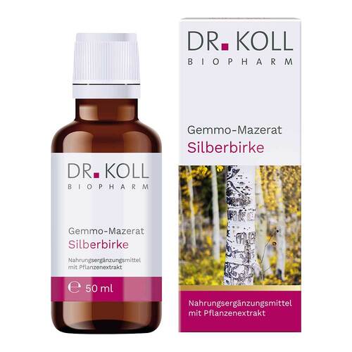Gemmo-Mazerat Silberbirke Dr.Koll Betula alba Tro. - 1
