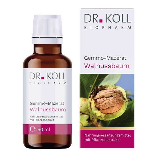 Gemmo-Mazerat Walnussbaum Dr.Koll Juglans reg.Tro. - 1