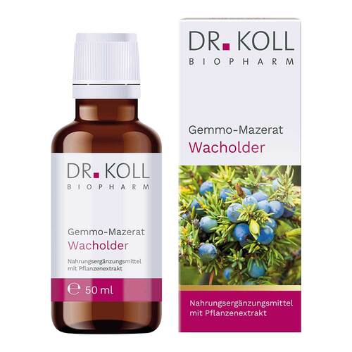 Gemmo-Mazerat Wacholder Dr.Koll Juniperus com.Tro. - 1