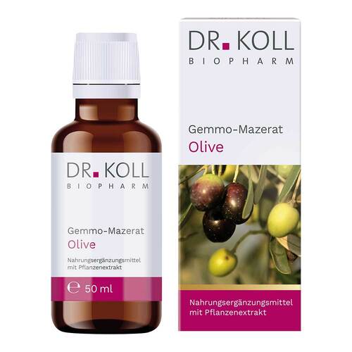Gemmo-Mazerat Olive Dr.Koll Olea europaea Tropfen - 1