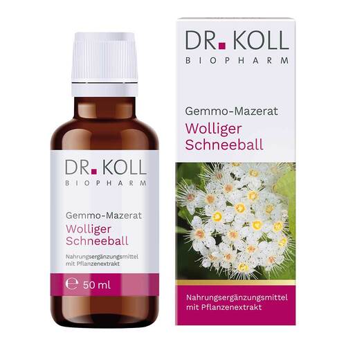 Gemmo-Mazerat wolliger Schneeball Dr.Koll Vib.Tro. - 1